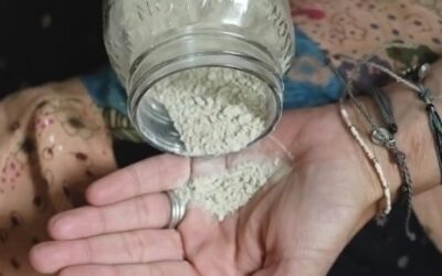 Köpekler İçin Doğal Pire Ve Kene Tozu Tarifi