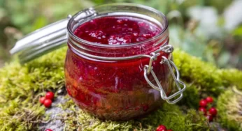 İsveç Kirazı Faydaları Neler? Lingonberry