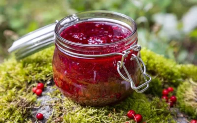 İsveç Kirazı Faydaları Neler? Lingonberry