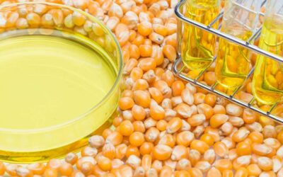 Propanediol Cilde Zararları Neler? Faydaları