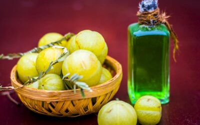 amla yağı nedir