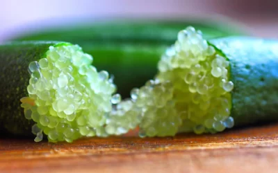 Havyar Limonu Nedir? Nasıl Kullanılır?