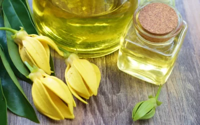 Ylang Ylang Yağı Saç için Nasıl Kullanılır?
