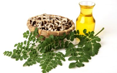 Moringa Yağı Cilt için Faydaları Neler? Kullanımı