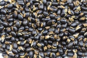 Kadife fasulye özü