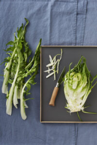 İtalyan hindiba Puntarelle