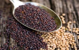 Hardal tohumu Nasıl kullanılır