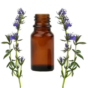 çördük otu yağı zufa mı