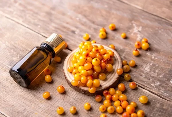 Sea Buckthorn yağı Yabani İğde Yağı