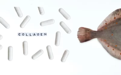 Balık Kolajeni Faydaları Neler? Marine Kolajen Nedir?