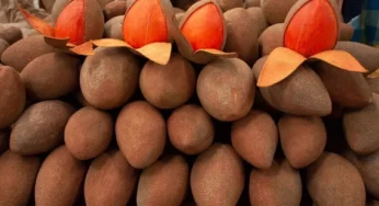 Mamey Sapote Nedir? Faydaları Neler?