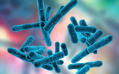 Bacillus Coagulans Nedir? Faydaları Nelerdir?