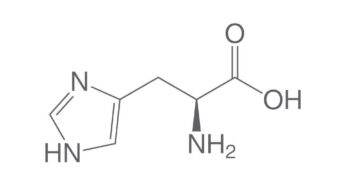 Histidin Nedir? Hangi Besinlerde Bulunur?