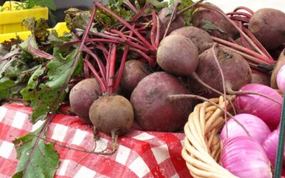 Kırmızı Pancarla Bağırsak Geçirgenliği Testi nedir