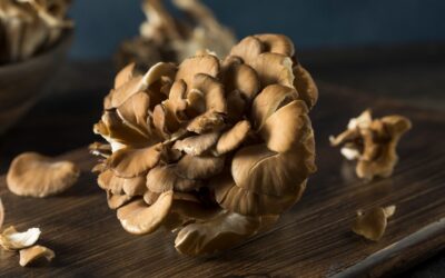Maitake Mantarı Faydaları Nelerdir? Maitake Mantarı Ekstresi