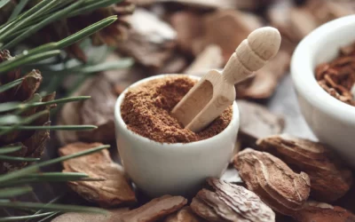 Pycnogenol Ne için Kullanılır? Faydaları Neler?