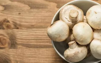 Düğme Mantarı Nedir? Yenir mi? Faydaları