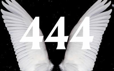444 melek sayısı
