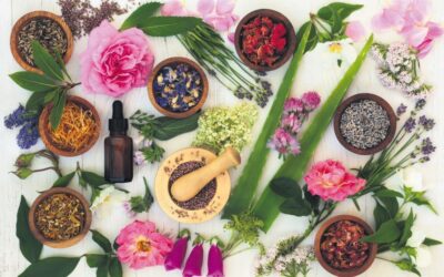 Fitoterapi Nedir? Hangi Hastalıklara İyi Gelir?