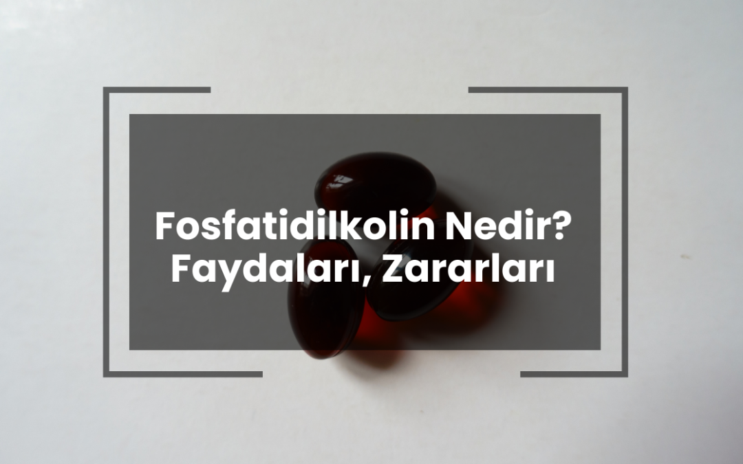 Fosfatidilkolin Nedir? Faydaları & Zararları