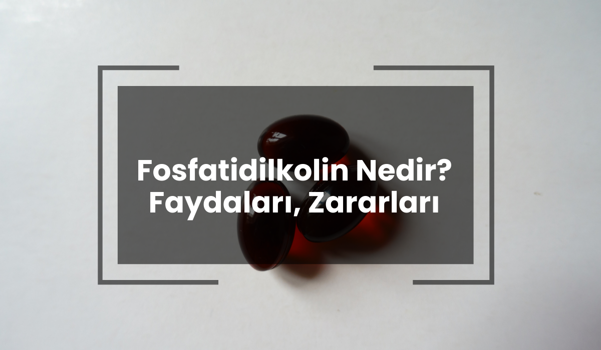 Fosfatidilkolin Ne İşe yarar