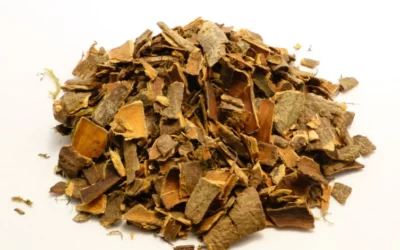 Cascara Sagrada Nedir? Kutsal Kabuk