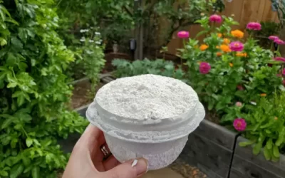 Diyatomlu Toprak Nedir? Evde Nasıl Kullanılır?