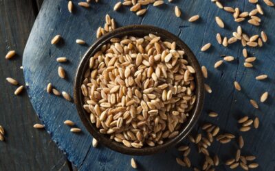 Farro Nedir? Besin Değerleri