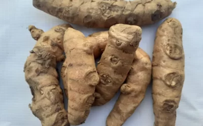 Zulumba Faydaları Neler? Basur için Etkili mi?
