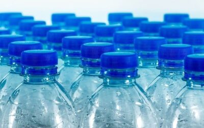 BPA Nedir? BPS Nedir?