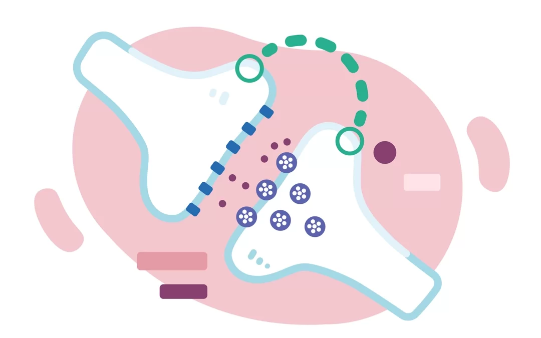 Endokannabinoid Eksikliği Otizm