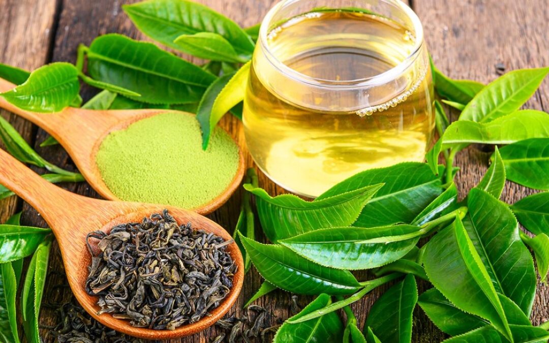 Epigallokateşin Gallat Ne İşe Yarar