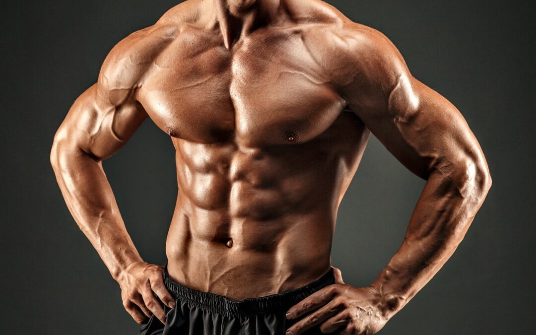 Epikateşin Myostatin