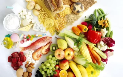 Makro Besin Maddeleri Nedir?