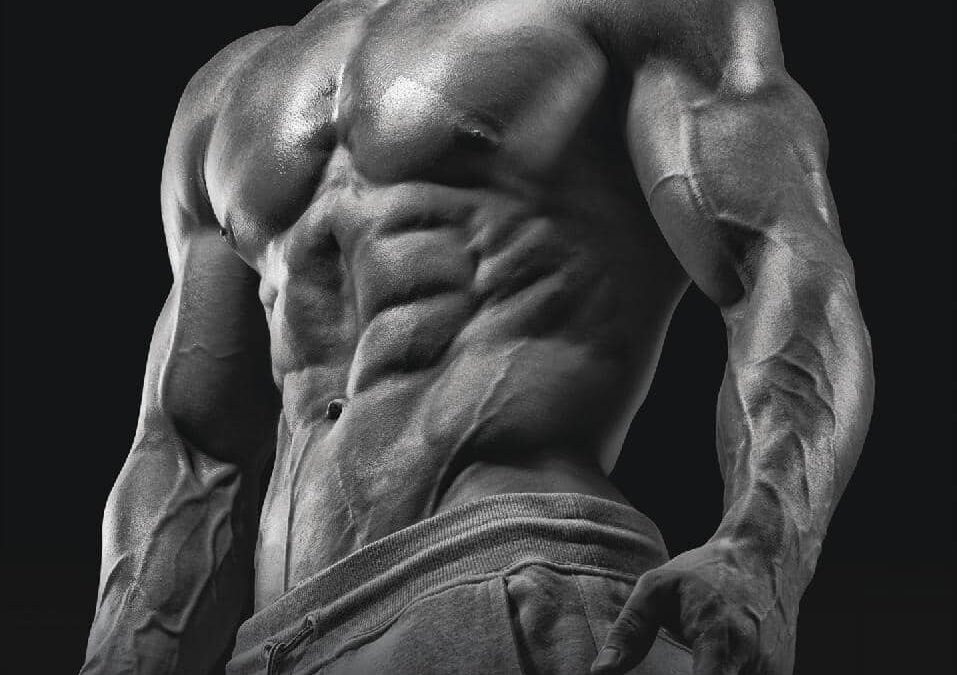 Myostatin Azalırsa Ne Olur?