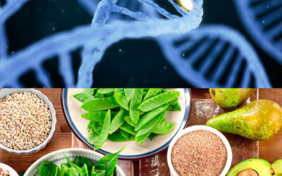 Nutrigenomik Nedir? Nutrigenetik Nedir?