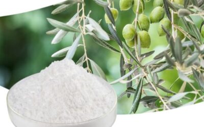 Oleanolik Asit Cilde Faydaları Neler? Nasıl Kullanılır?