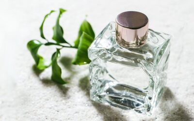 Protokateşik Asit (Protocatechuic Acid) Nedir?