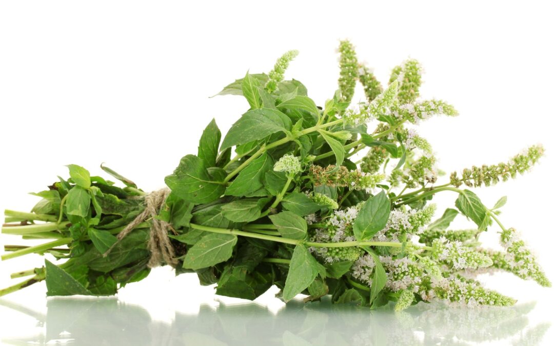 Rosmarinik Asit Ne İşe Yarar