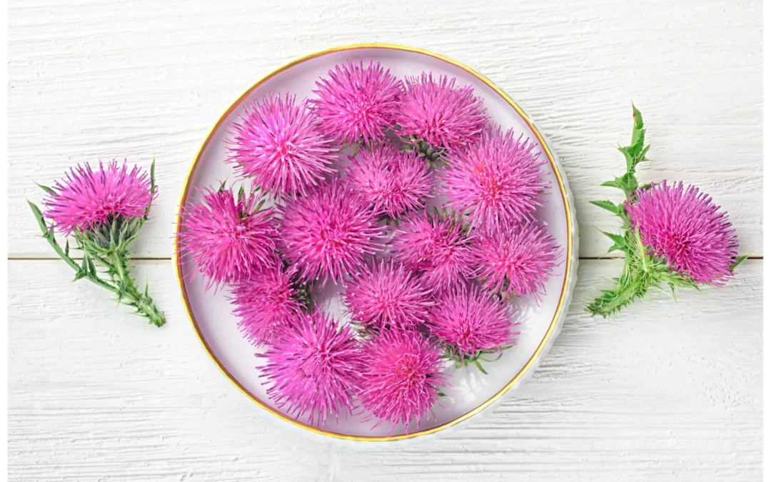 Silimarin Ne İşe Yarar? Faydaları