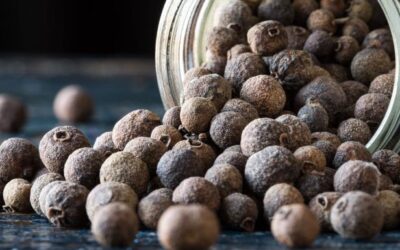 yenibahar tadı nasıl