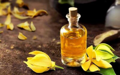 Ylang Ylang Yağı Ne İşe Yarar? Kokusu Nasıl?
