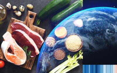 Karbon Ayak İzi Nedir? Gıdaların Karbon Ayak İzi