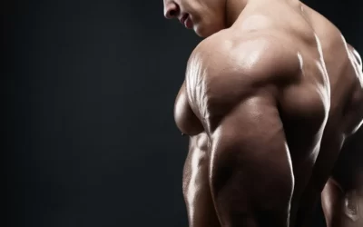 Myostatin Fazlalığı Nedir? Nası Baskılanır?