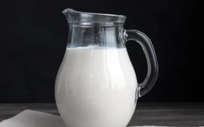 proteinli süt faydaları