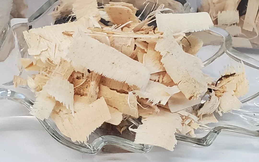 Acıağaç kökü Faydaları Neler? Ne İşe Yarar?