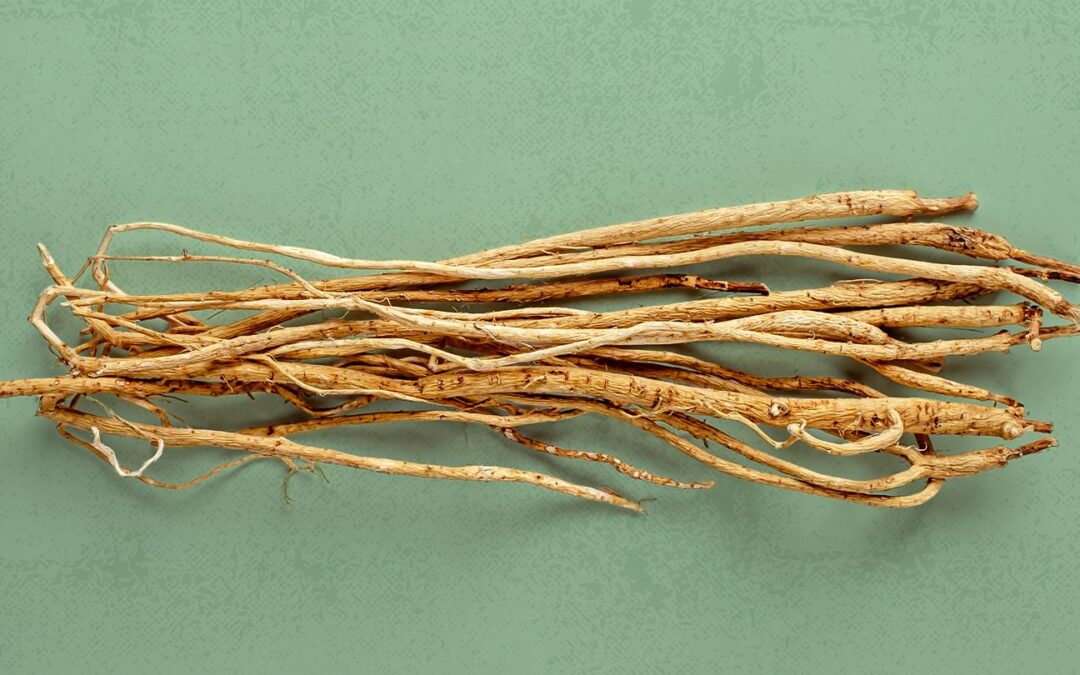 Astragalus Faydaları Neler?