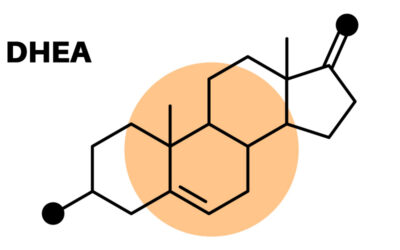 DHEA Nedir? DHEA Takviyesi