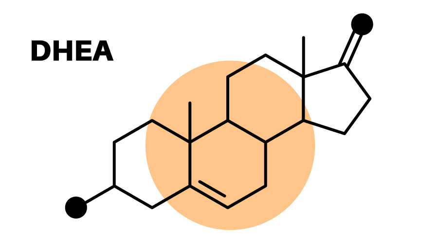 DHEA Takviyesi