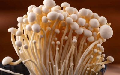 Enoki Mantarı Nedir? Tadı Nasıl?